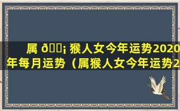 属 🐡 猴人女今年运势2020年每月运势（属猴人女今年运势2020年 🌻 每月运势及运程）